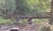 Trail Walking Waimes - Ondenval  - Photo 2