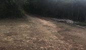 Tour Nordic Walking Sainte-Anne - Nu pied modette - Photo 2