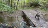 Randonnée Marche Martelange - Dans l’intimité d’une forêt  - Photo 14