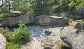 Tour Wandern Milly-la-Forêt - Milly-la-Forêt - Forêt domaniale des Trois pignons - Curiosités  - Photo 20