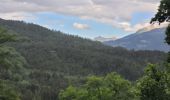 Trail Walking Jausiers - cascadede pissoun 24 06 2024 - Photo 13