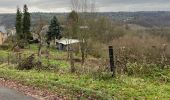 Trail Walking Aywaille - Elfique 13km - Photo 4