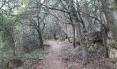 Trail Walking Duilhac-sous-Peyrepertuse - boucle moulin de ribaute - duilhac - gorge du verdouble  - Photo 15