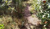 Trail Walking Aiguèze - 30 aigueze ribeirol - Photo 6