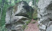 Tocht Stappen Echternach - mullerthal rando E1 . echternach . berdorf . echtrnach . via gorge du loup - Photo 18