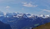 Randonnée A pied Grindelwald - First - Bachalpsee - Fauhlhorn - Schynige Platte - Photo 2