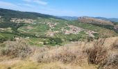 Trail Walking Solutré-Pouilly - roche de soluté, roche de Vergisson - Photo 13