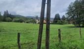 Excursión Senderismo Taintrux - tour du bled  - Photo 3