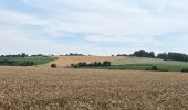 Excursión Senderismo Eijsden-Margraten - Mheer - Photo 9