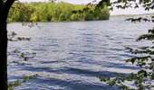 Trail Walking Froidchapelle - La balade du bois du Grand Oupia aux lacs de l'eau d'heure - Photo 9