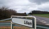 Percorso A piedi Manternach - Auto Pedestre de Berbourg - Photo 4