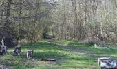 Trail On foot Braine-le-Comte - 2021-04-11 ST Hennuyères & Grd Bois 001 - Photo 7