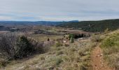 Tour Wandern Saint-Jean-de-Fos - a partir de saint jean de fos le castellas - Photo 4