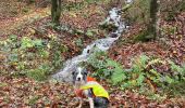Trail Walking Habay - Les 4 fils Aymon  - Photo 3