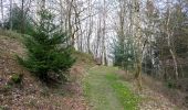 Trail On foot Horn-Bad Meinberg - Rundwanderweg A2 [Holzhausen-Externsteine] - Photo 3