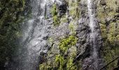 Tour Wandern São Jorge - Levada do Rei (Rother n°30) - Photo 11