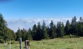 Trail Walking Soultz-Haut-Rhin - Grand ballon  - Photo 3