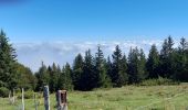 Excursión Senderismo Soultz-Haut-Rhin - Grand ballon  - Photo 3