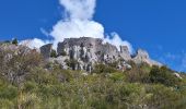 Trail Walking Andon - andon/castelaras - Photo 2