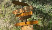 Percorso  Pranles - Volcan des Chirouses - Azur - Photo 7
