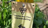 Tocht Stappen Valkenburg aan de Geul - 2023-08-29_11h45m24_route-des-vins-berg-en-terblijt--houthem-st-gerlach-vi6 - Photo 2