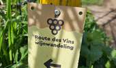 Randonnée Marche Valkenburg aan de Geul - Route-des-vins-berg-en-terblijt--houthem-st-gerlach-vi6 - Photo 2