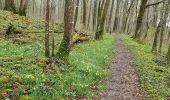 Trail Walking Chimay - Vielles- Lompret - Photo 3