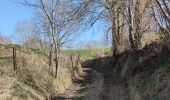 Excursión Senderismo Plombières - A la découverte de Hombourg et ses environs  - Photo 4