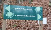 Trail Walking Pont-Scorff - PR_56_Pont-Scorff_AA_01_St-Urchaud_Circuit1b_20231125 - Photo 9