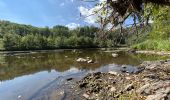 Tour Wandern Bouillon - Lés échelles de Rochehaut - Photo 9