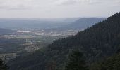 Randonnée Marche Saint-Dié-des-Vosges - Massif de l'Ormont et ses rochers remarquables - Photo 4