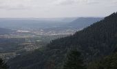 Trail Walking Saint-Dié-des-Vosges - Massif de l'Ormont et ses rochers remarquables - Photo 4