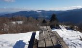 Randonnée Marche Sewen - Lac d'Alfed et sa cascade - tour au pied du Ballon d'Alsace - Photo 13