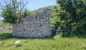 Trail Walking Courmes - Courmes, Plateau de St Barnabé, le Champ des Idoles - Photo 6