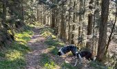 Tour Wandern Xonrupt-Longemer - Riche de Belle-vue - Photo 4