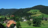 Tocht Te voet Triberg im Schwarzwald - Gutachtalweg - Photo 3