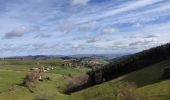 Trail Walking Violay - Randonnée au dessus de Violay  - Photo 9