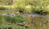 Tour Wandern Saint-Céneri-le-Gérei - Saint ceneri - Photo 15