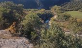 Trail Walking Labeaume - Labeaume dolmens - Photo 13