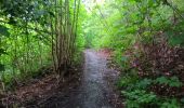 Trail Walking Liège - angleur . Streupas . belle jardinière . ruisseau kinkempois . angleur - Photo 18