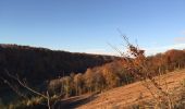 Tocht Mountainbike L'Isle-en-Rigault - Rando Lisle monplone brillons Lisle  - Photo 2