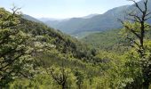 Excursión Senderismo Chaudebonne - la serre de crema - Photo 18