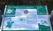 Trail On foot Groß-Umstadt - Parkplatzrundwanderweg Hainrich 4 : Hardberg-Weg - Photo 9