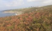 Trail Walking Le Conquet - Le conquet blancs sablons Trezien - Photo 12