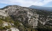 Trail Walking Caromb - caromb grand pacours - Photo 9