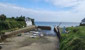 Tour Wandern Groix - ile de groix - Photo 15