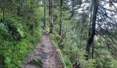 Trail Walking Waimes - autour de botrange  - Photo 9