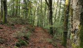 Trail Walking Cisternes-la-Forêt - La Foret - Photo 2