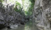 Randonnée Marche Lussan - PF-Lussan - La Lèque,le menhir,les Concluses - Photo 4