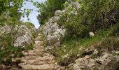 Tocht Stappen Le Frasnois - Lac de Narlay - Pic de l'Aigle - Photo 8